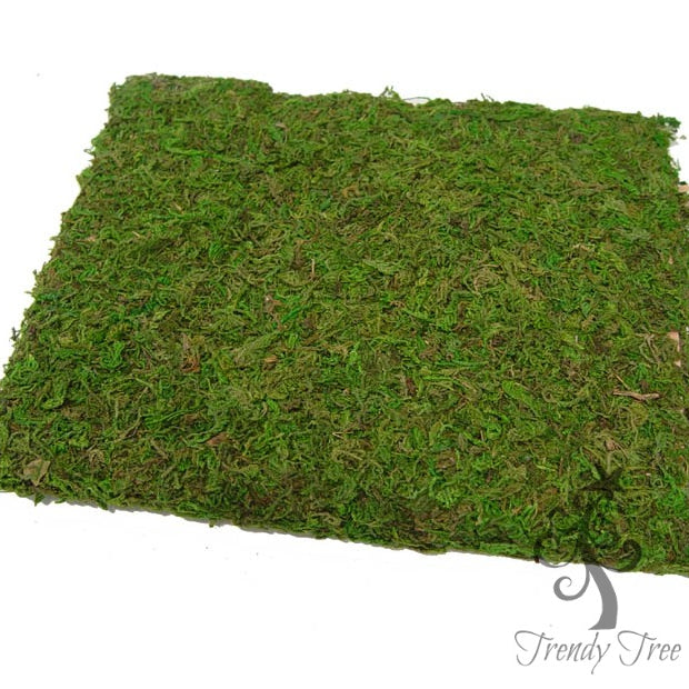 New Product - Moss Cloth