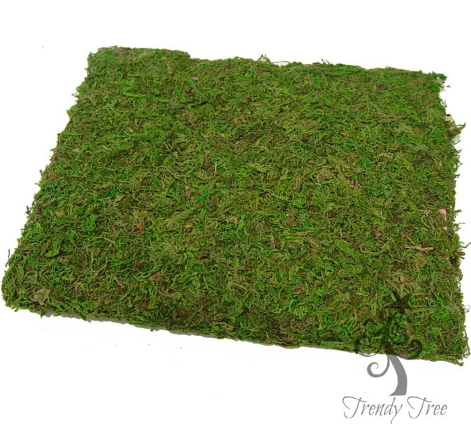 New Product - Moss Cloth