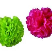 New Product  - Tissue Paper Pom Poms