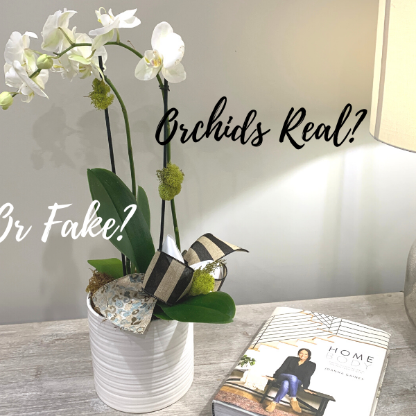 Orchids - Real or Fake?