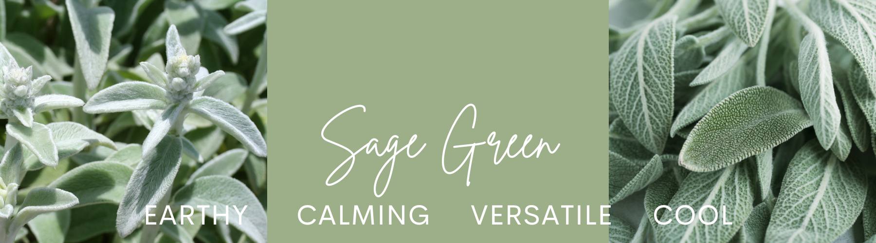products in sage green at trendy tree