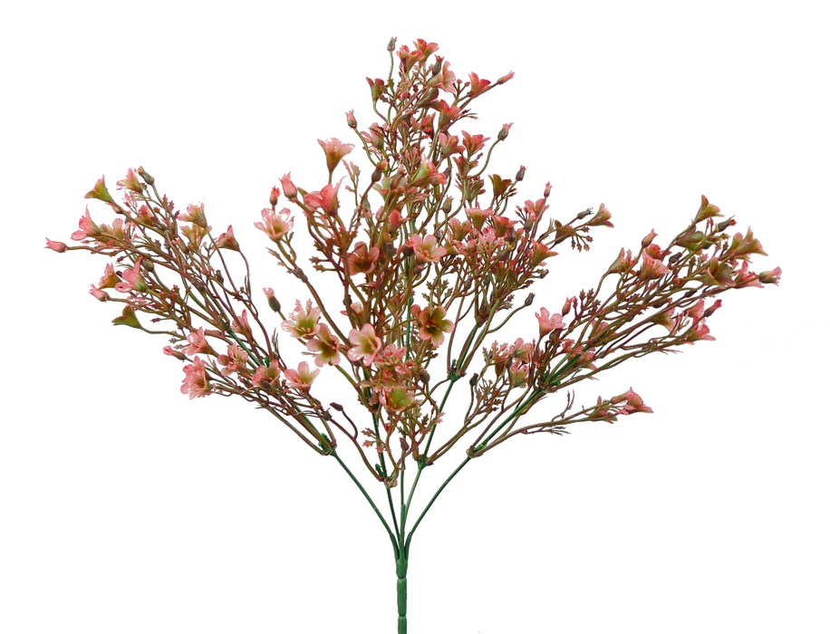 The 14 Pink Plastic Wax Flower Bush (Product #13539PK) features delicate pink and orange blossoms on slender green stems, with five stems branching symmetrically, creating a vibrant and charming arrangement.
