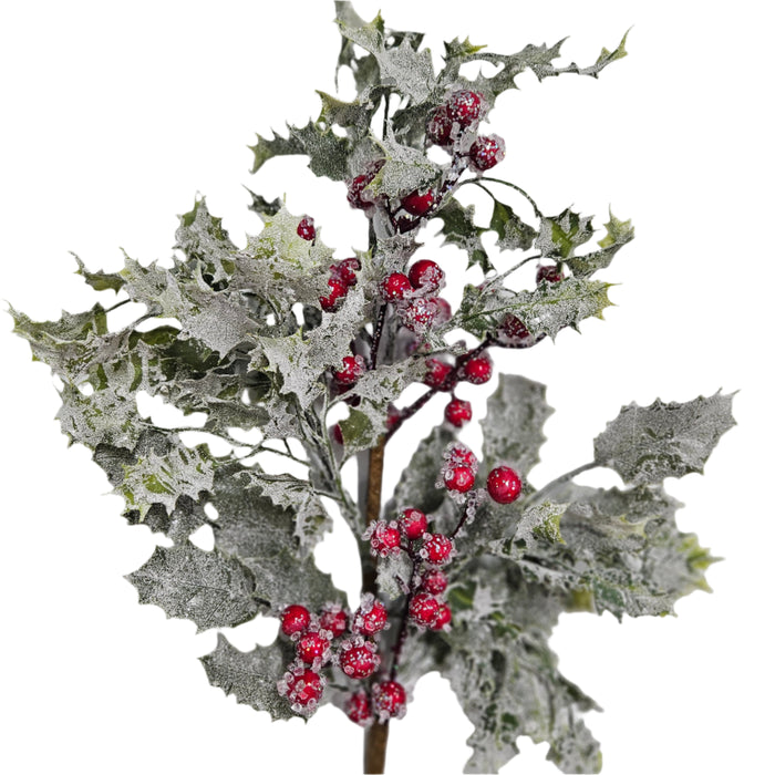 The 30 Holly with Leaves and Berries 20116 features spiky artificial holly leaves and frosted red berry clusters, dusted with faux snow, set against a white background.