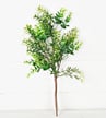 An 18 Evergreen Baby Eucalyptus with Leaves Bush (21263IEI) stands against a white background, showcasing vibrant green leaves, a few white flowers, and healthy branches.