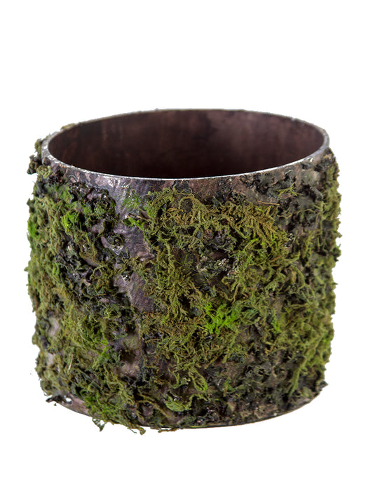 The 6 Green and Brown Log with Moss Pot (2370144GB) combines rustic charm with a shiny interior, offering an earthy appearance enhanced by green moss and textured contrasts for a natural, weathered aesthetic.