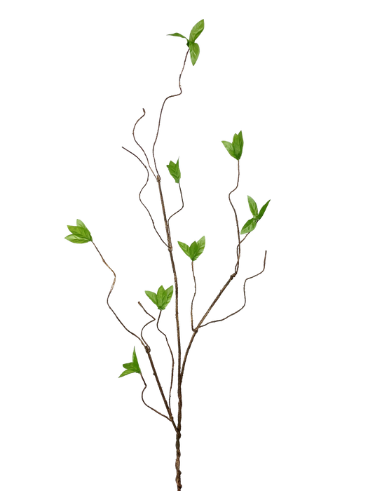The 31 Green Willow Spray 29447GN features elegant twisting stems with clusters of lush green leaves, creating a simple yet striking silhouette against a plain black background.