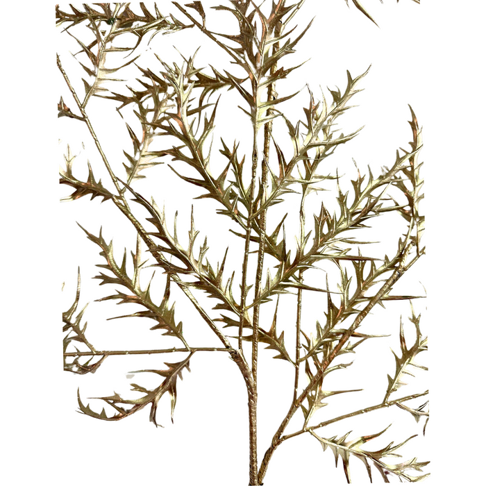 Close-up of the 48 In Fern Spray 32106-Champ with delicate, fern spray-like leaves on a white background. The thin, spiky leaves are intricately arranged, displaying a natural, organic pattern reminiscent of champagne bubbles.