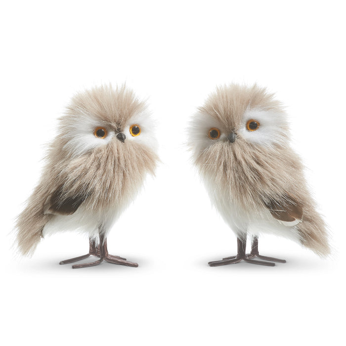 Two fluffy, lifelike 5" Grey Owl Ornaments (4303465) with brown wire legs and yellow eyes stand side by side, part of the charming Raz Holly & Pine Collection, against a white background.