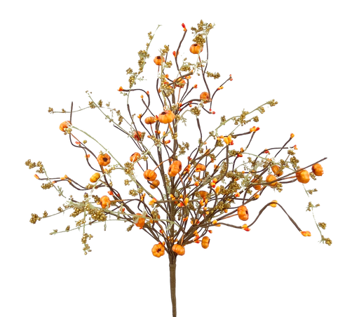 A 22 Orange Berry Twig Bush with 5 stems, featuring small round orange berries and light brown foliage on thin branches (56729BU22), isolated on a black background.