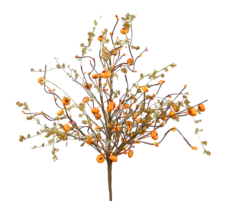 A 22 Orange Berry Twig Bush with 5 stems, featuring small round orange berries and light brown foliage on thin branches (56729BU22), isolated on a black background.