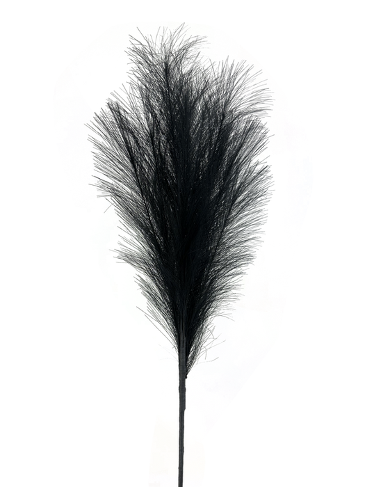 The 30" Black Pampas Spray 57172BK showcases a single black feather set against a dynamic and abstract backdrop, highlighted by a burst of pastel hues and speckles.