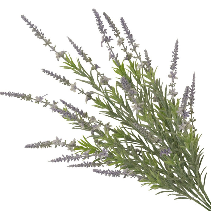 The 23 Lavender Bush with 7 Stems (81020) features green leaves and purple flowers, beautifully showcasing delicate blooms against a white background.