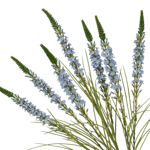 Seven graceful 25.5 blue lavender bush stems from the 84007-Bl collection stand with long, slender green stems, forming dense clusters and delicate pointed tips against a plain white background.