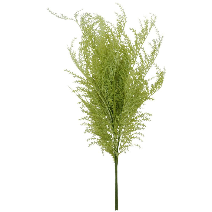 The 29 Apple Green Phoenix Tail Fern 84099-AppleGn features thin fern-like leaves in apple green on a slender stem, forming a bushy, vertical arrangement against a white backdrop.