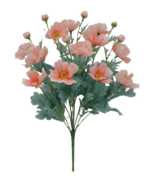 A 22 Cosmos Bush Peach, featuring peach and pink anemones with yellow centers, lush green leaves, and 12 stems of cosmos in a loose cluster.