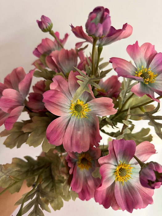 The 21 In Cosmos Bush X 11 (84566-Mv) features a gradient of pink, purple, and mauve flowers with yellow centers amidst green leaves on a white backdrop, showing some stems and leaves.