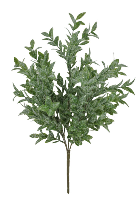 The 21 Long Green Ruscus with a 5 Stem Iced Bush 85254 features lush, dense foliage and multiple stems, shown against a plain white background.
