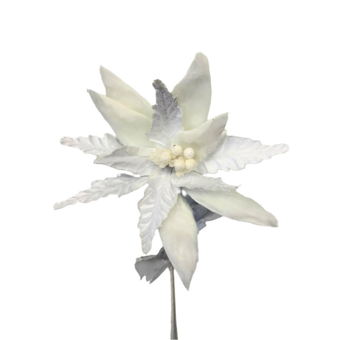 White Fancy Furry and Velvet Poinsettia ISB73811
