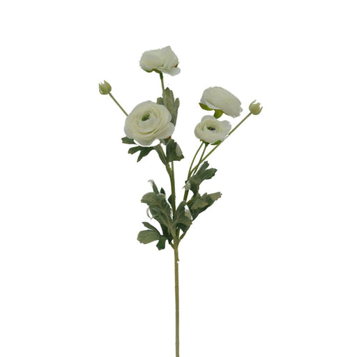 The 26 Cream Ranunculus Spray 84072-Cr has multiple cream flowers and buds with layered petals and green leaves, set against a white background.