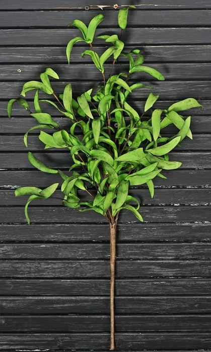 24" Mixed Green Herbs Spray ISB68585IEI