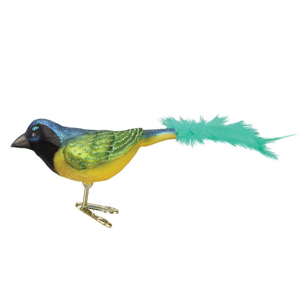 The Green Jay Ornament by Old World Christmas (18100) features a blue head, green glitter wings, yellow belly, and a long green feather tail. This tropical bird stands on gold metal legs against a white background.