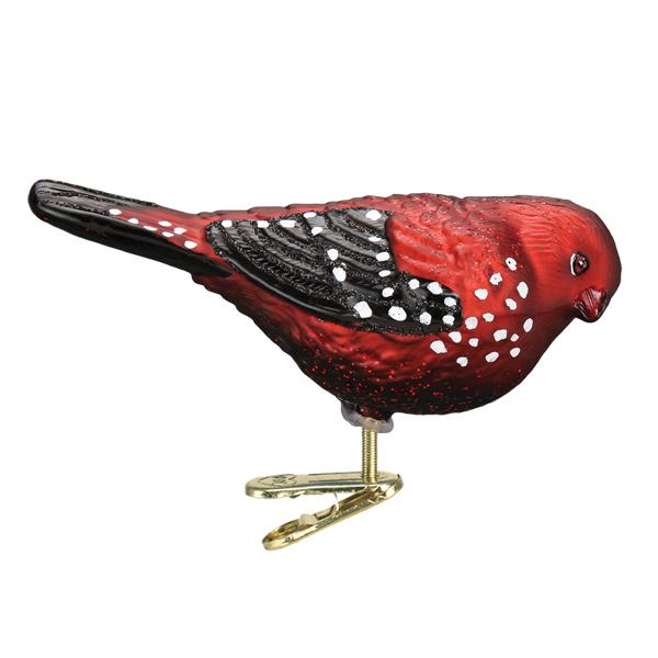 The Strawberry Finch Ornament Old World Christmas Ornament 18134 features red and black colors with white spots and a gold clip, making it a charming decorative piece for your Christmas display.