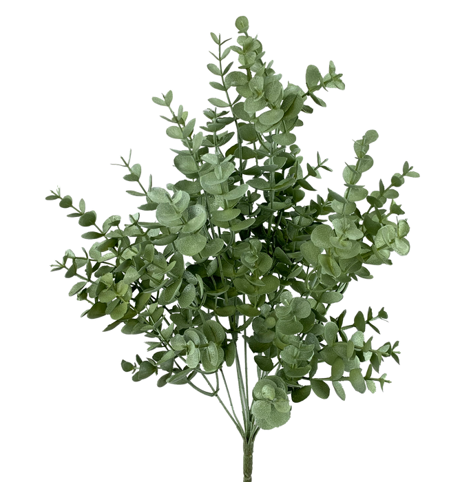 A 20 Light Green Eucalyptus Bush With Nine Stems (56807Ltgn) displays rounded green foliage on multiple stems, set against a plain black background.