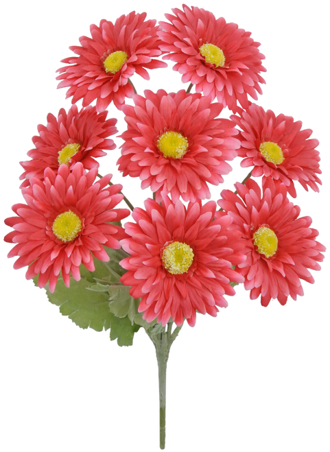 The 17 Gerber Bush with 8 Stems Pink (82495-BTY) is a striking bouquet featuring eight vibrant pink flowers with yellow centers and lush green leaves, arranged in a circular pattern to add a splash of color to any space.