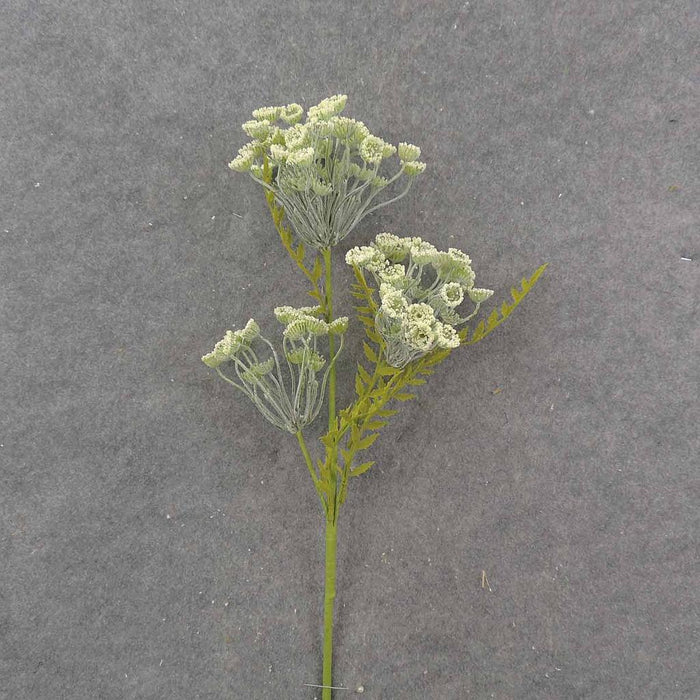 The 26 Queen Annes Lace Stem Cream (SA9018-CRM) features delicate blooms and thin cream stems, highlighted by feathery green leaves on a textured gray background.