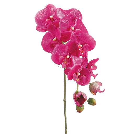 The 31 Violet Phalaenopsis Spray (HSO471-VI) features multiple vibrant blooms and buds on a single stem, displayed against a plain white background.