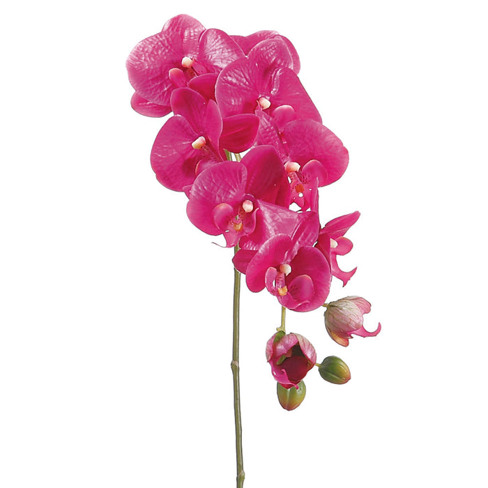 The 31 Violet Phalaenopsis Spray (HSO471-VI) features multiple vibrant blooms and buds on a single stem, displayed against a plain white background.