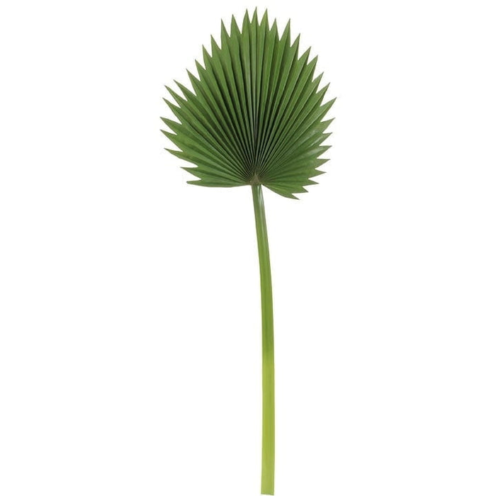 The RAZ Leaf Stem features a single green palm leaf with a long, straight stem and a fan-shaped, spiky-edged blade, isolated on white—ideal for enhancing any botanical collection.