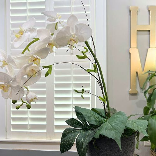 Phalaenopsis or orchid spray for a small floral arrangement