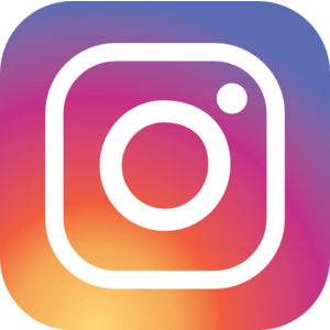 Follow Trendy Tree on Instagram!