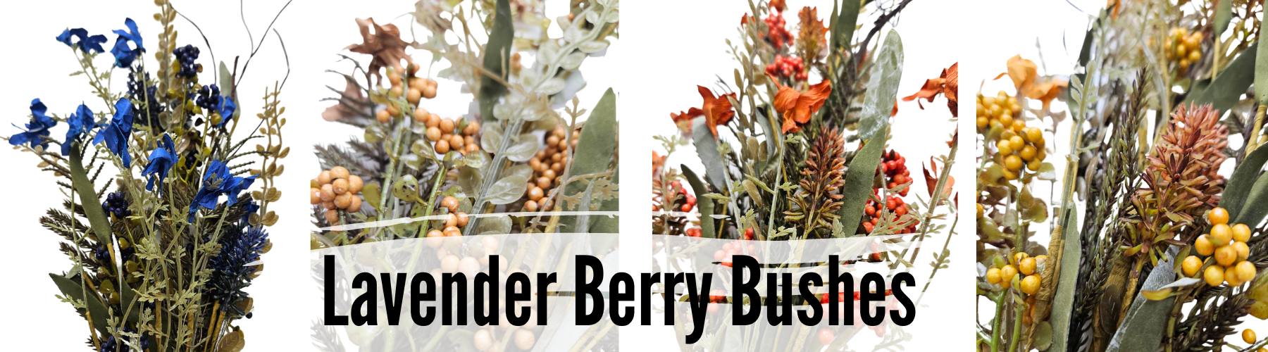 lavender berry bush in six colors