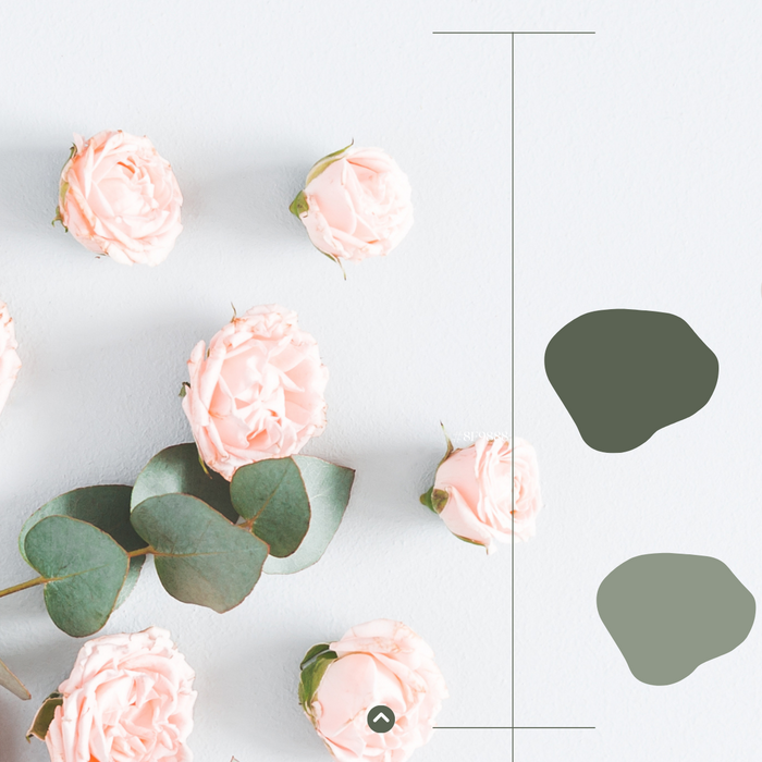 Minimalist Color Pallet
