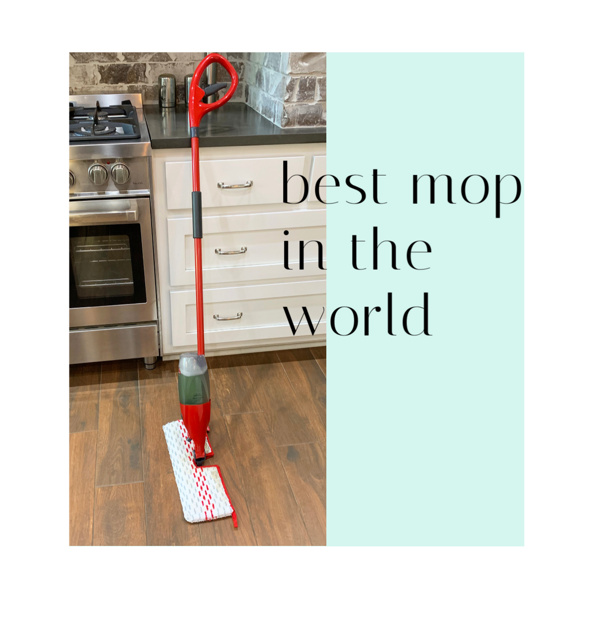 Best Mop in the World! — Trendy Tree