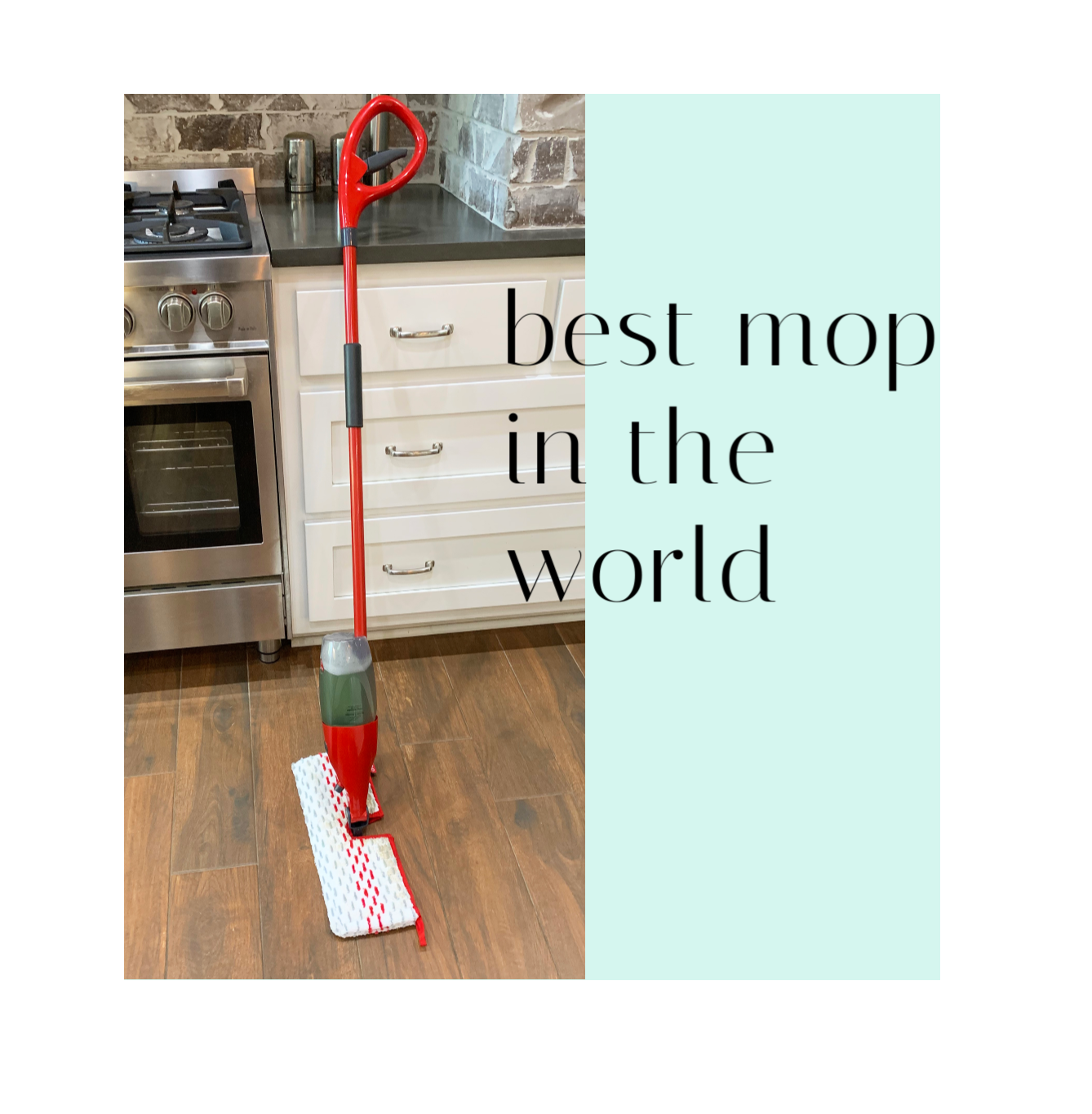 Best Mop in the World!