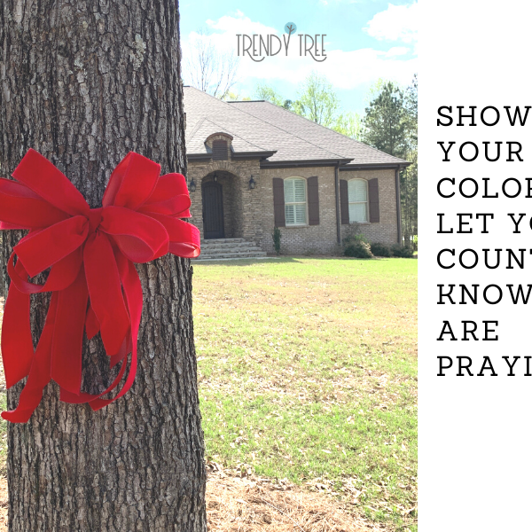 Show Your Colors! Tie a Red Ribbon to Show Support for the USA