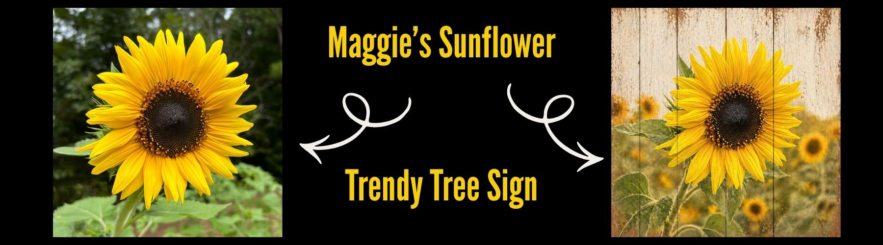 Exclusive Sunflower Signs
