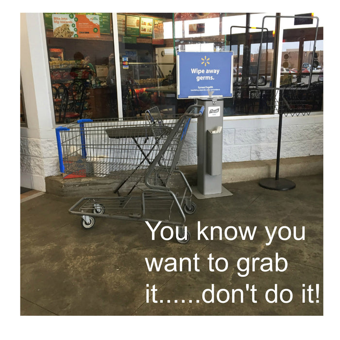 Walmart Shopping Carts