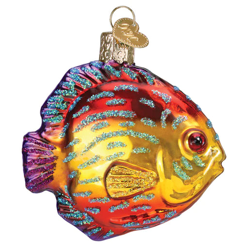 Introducing the Discus Fish Old World Christmas 12675 ornament—a stunning glass masterpiece crafted in the shape of a tropical fish, adorned with vibrant hues of yellow, orange, purple, and shimmering blue highlights. This hand-painted decoration features a gold loop and a charming decorative tag atop for elegant hanging.