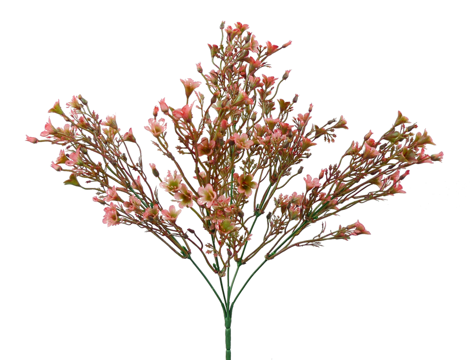 14" Pink Plastic Wax Flower Bush 5 Stems 13539PK