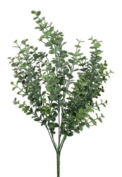 A 21 green plastic Boxwood bush with seven stems, model 13639GN, features numerous small, round leaves that resemble a delicate eucalyptus branch and is isolated on a white background.