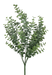 A 21 green plastic Boxwood bush with seven stems, model 13639GN, features numerous small, round leaves that resemble a delicate eucalyptus branch and is isolated on a white background.