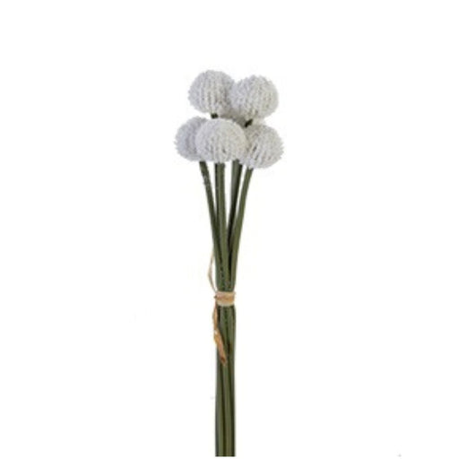 A bundle of six 16 Billy Balls White (2150140WH) stems with round, textured white flower heads and green stems, tied with a light brown string against a plain white background.