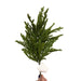 23-inch green cedar pine spray with Norfolk pine-inspired branches for Christmas wreaths, winter greenery, and floral arrangements, XS61484-063.
