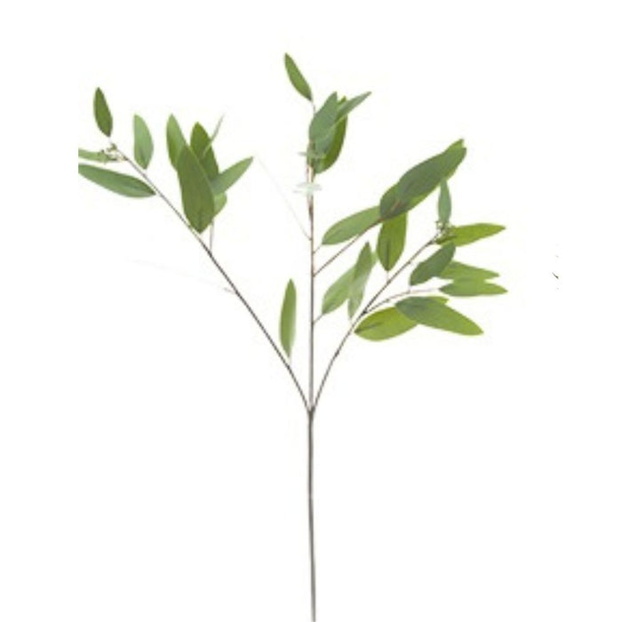 34" Long Leaf Eucalyptus Spray Green W/Seeds 2310172GR