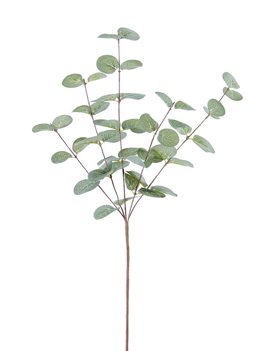 The 26 Frosted Sage Eucalyptus Spray (2310309FS) features multiple thin branches with round, flat green leaves. Displayed on a white background, it offers a minimalist and natural botanical look.