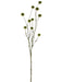A single 40 dark green moss ball branch with multiple smaller branches, each featuring a round, fuzzy moss ball, set against a white background. Product ID: 2370027DG.